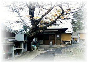 �����n��